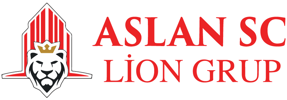 LİON NEFES — kapak görseli