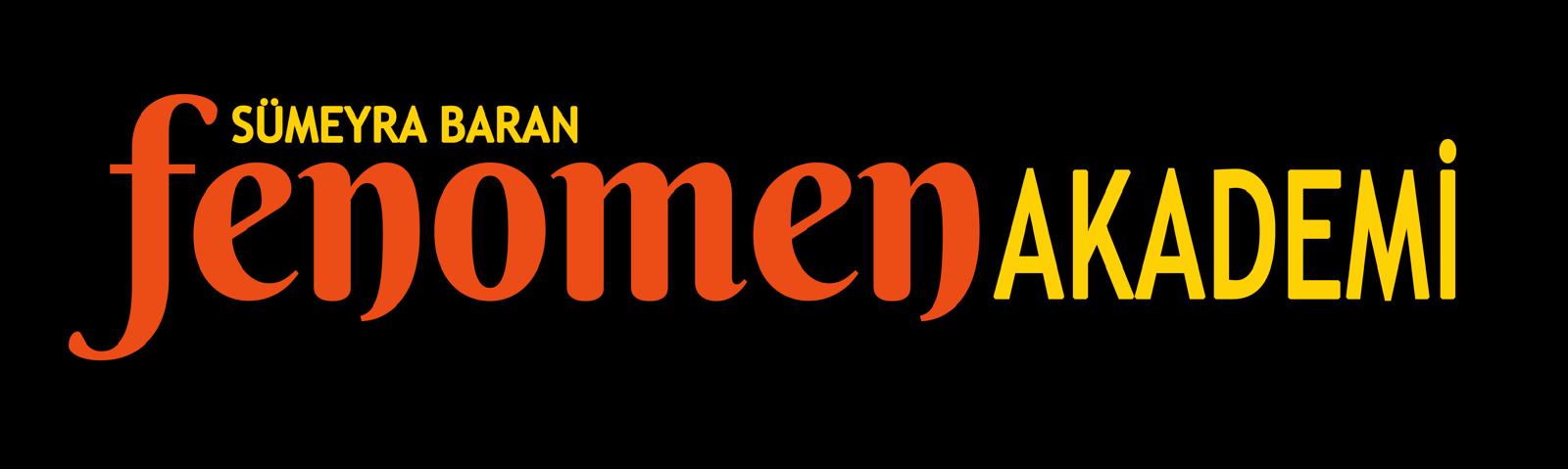 FENOMEN AKADEMİ — kapak görseli
