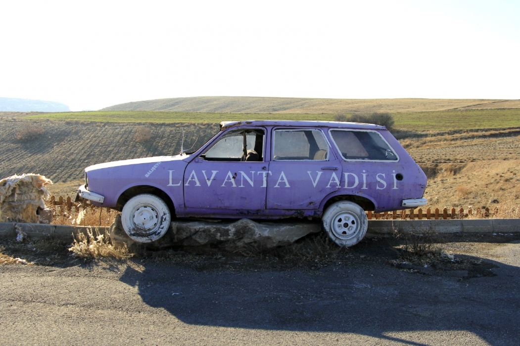 Lavanta Vadisi