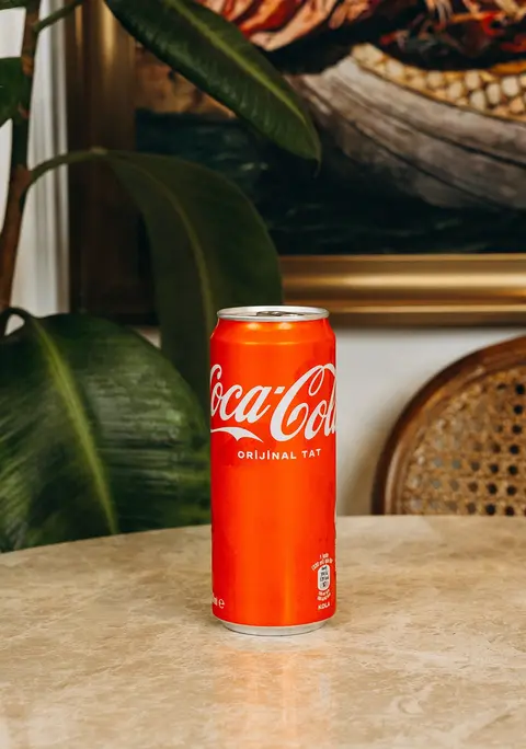 Coca-Cola (33 cl.)
