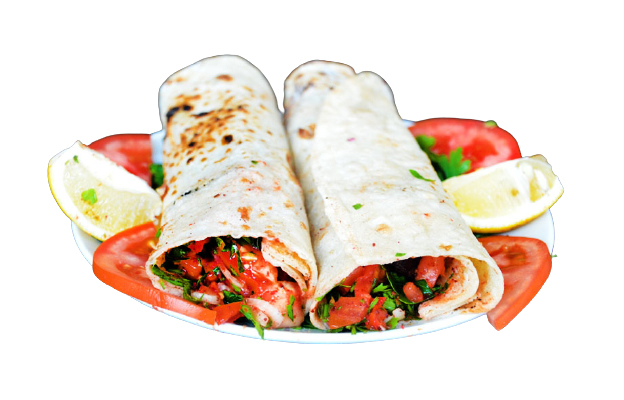 DANA ŞİŞ DÜRÜM