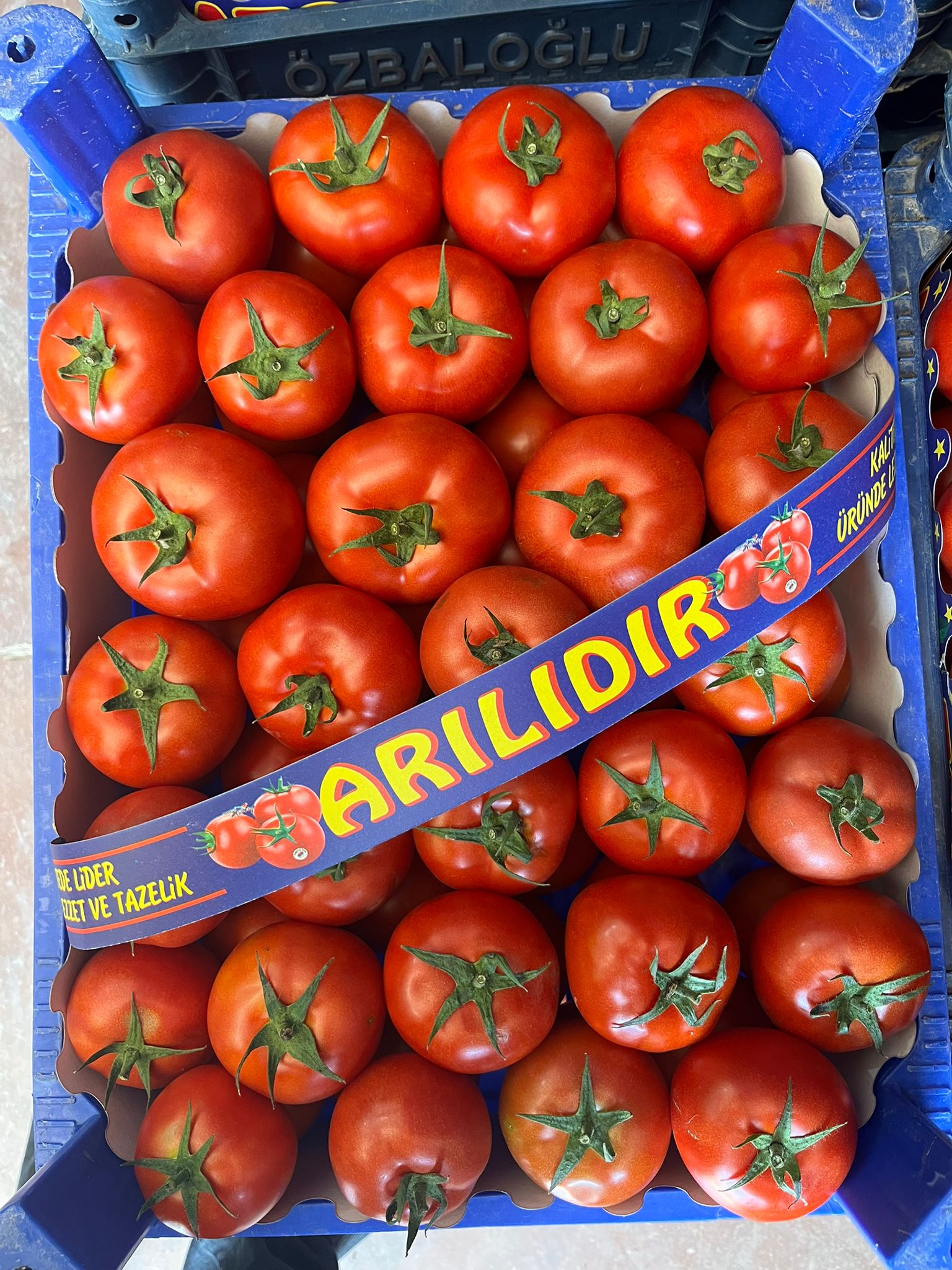 Domates 🍅
