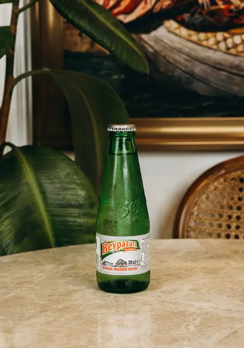 Soda (20 cl.)