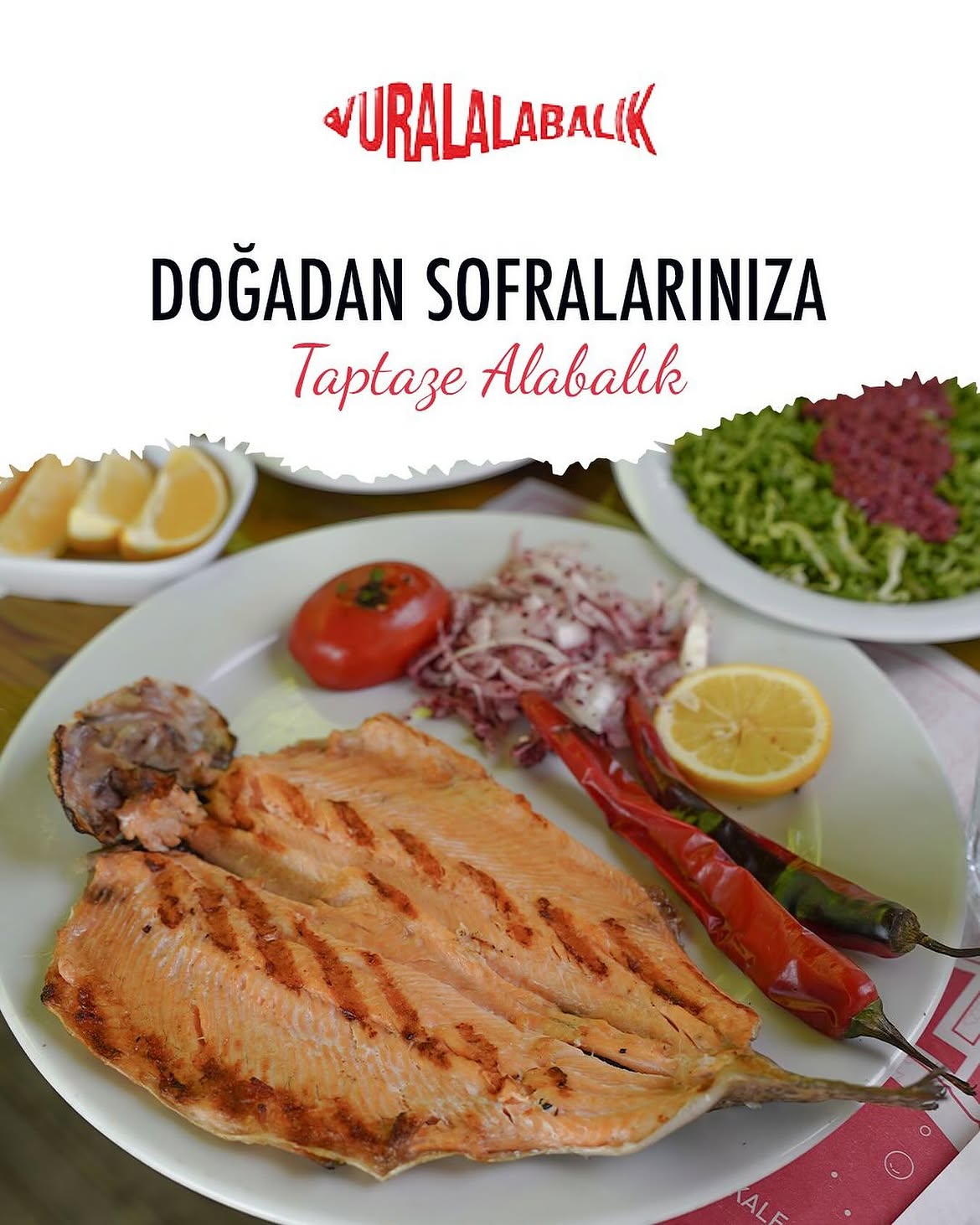 Mangalda Alabalık