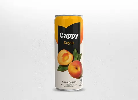 Cappy Kayısı (33 cl.)