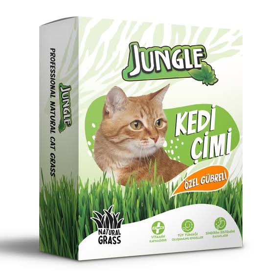 Jungle Kutulu ve Özel Gübreli Kedi Çimi