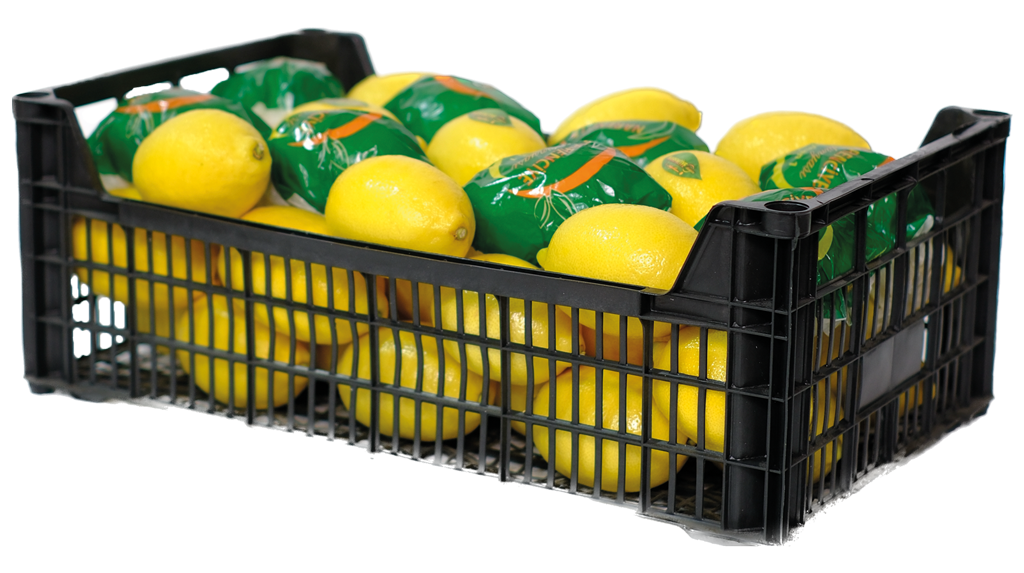 Limon